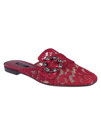 Shop Dolce & Gabbana Lace Buckle Slippers In Rosso Scuro