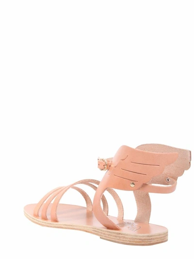 Shop Ancient Greek Sandals Ikaria Sandals In Cipria