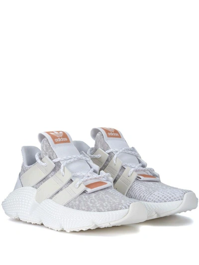 Shop Adidas Originals Prophere White And Grey Sneaker In Bianco