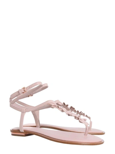 Shop Michael Michael Kors Bella Sandals In Rosa