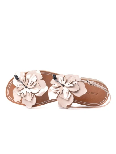 Shop Miu Miu Sandals In Light Pink