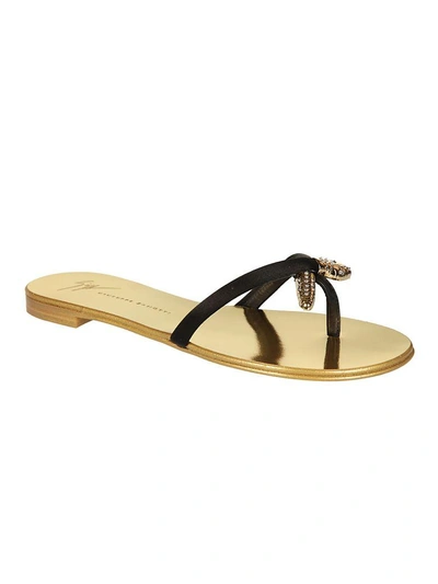 Shop Giuseppe Zanotti Infradito Flat Sandals In Nero Opaco