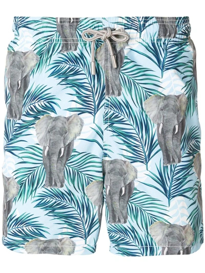 Shop Mc2 Saint Barth Elephant Print Swim Shorts