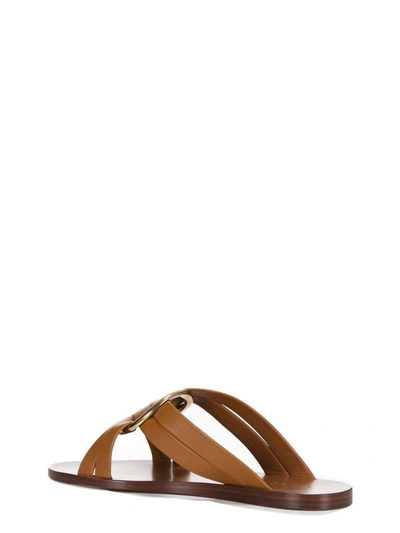 Shop Chloé Rony Flat Sandals In 244