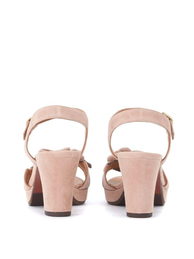 Shop Chie Mihara Blossom Nude Suede Heeled Sandal With Flower In Beige