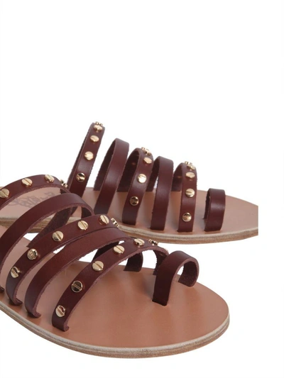 Shop Ancient Greek Sandals Niki Nails Sandals In Marrone