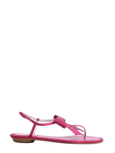 Shop René Caovilla Flips With Bow In Fucsia