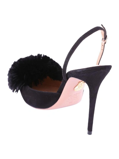 Shop Aquazzura Powder Puff Suede Pumps In Black