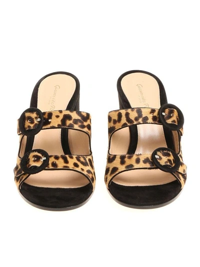 Shop Gianvito Rossi Leopard Print Sandals In Black