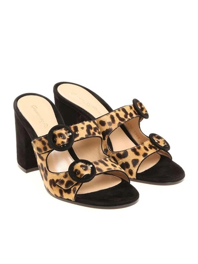 Shop Gianvito Rossi Leopard Print Sandals In Black