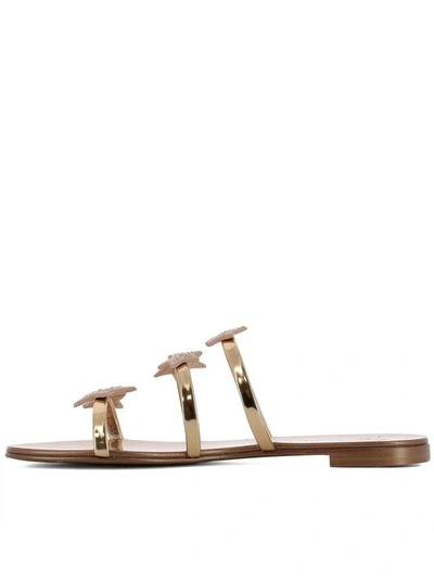 Shop Giuseppe Zanotti Gold Patent Leather Roll 10 Sandals In Pink