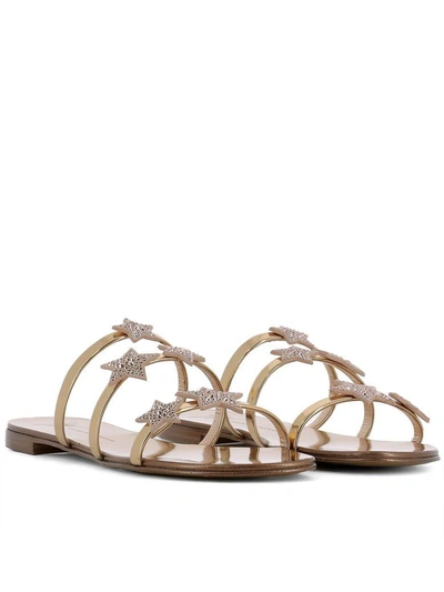 Shop Giuseppe Zanotti Gold Patent Leather Roll 10 Sandals In Pink