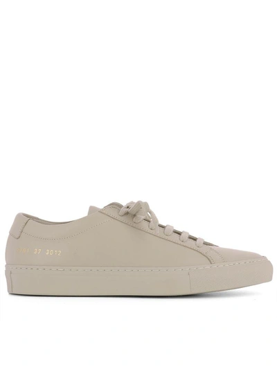 Shop Common Projects Beige Leather Sneakers