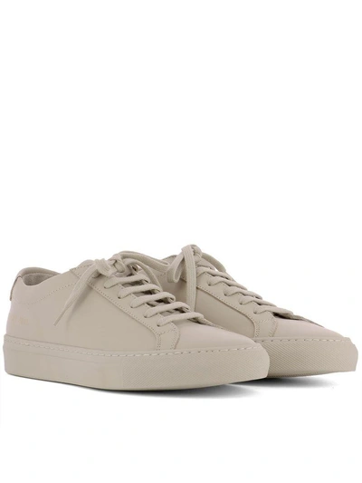 Shop Common Projects Beige Leather Sneakers