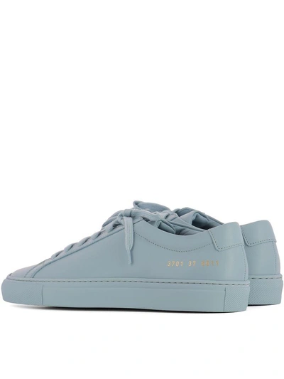 Shop Common Projects Light Blue Leather Sneakers