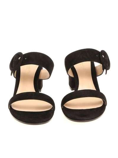 Shop Gianvito Rossi Ankle Strap Sandals In Black