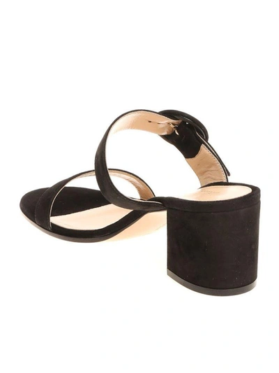 Shop Gianvito Rossi Ankle Strap Sandals In Black