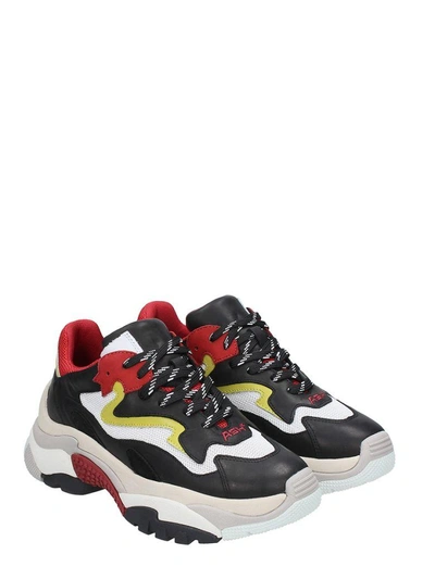 Shop Ash Addict Trainers Black Leather & Red Mesh