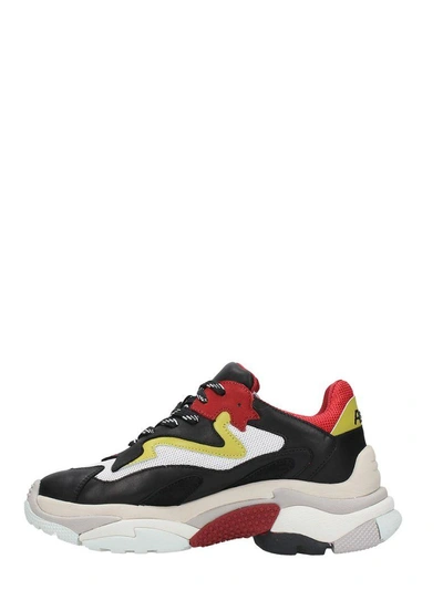 Shop Ash Addict Trainers Black Leather & Red Mesh
