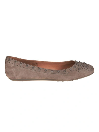 Shop Tod's Studded Ballerinas In Grey