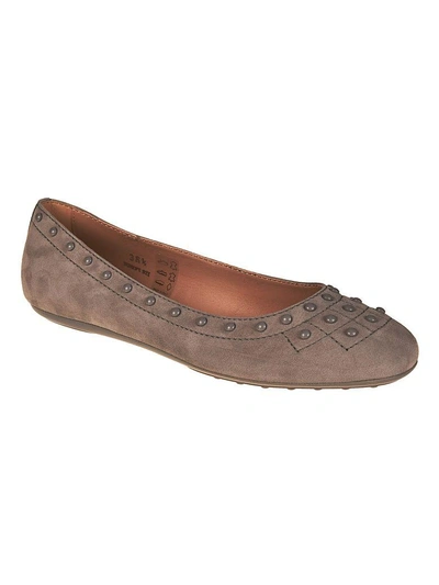 Shop Tod's Studded Ballerinas In Grey