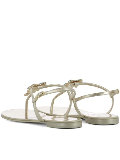 Shop Giuseppe Zanotti Gold Leather Sandals