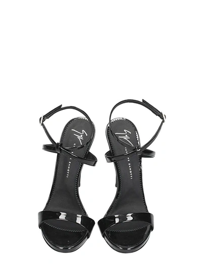 Shop Giuseppe Zanotti G Heel Sandals In Black