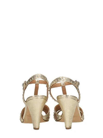 Shop Janet & Janet Gold Leather Sandals Gold Stud Strap-s Application
