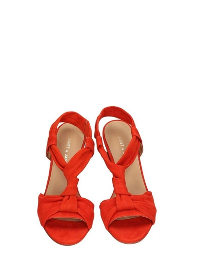 Shop Janet & Janet Suede Red Sandals
