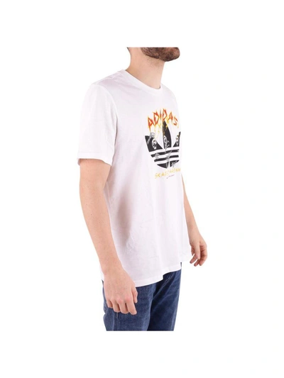 Shop Adidas Originals Cotton T-shirt In White