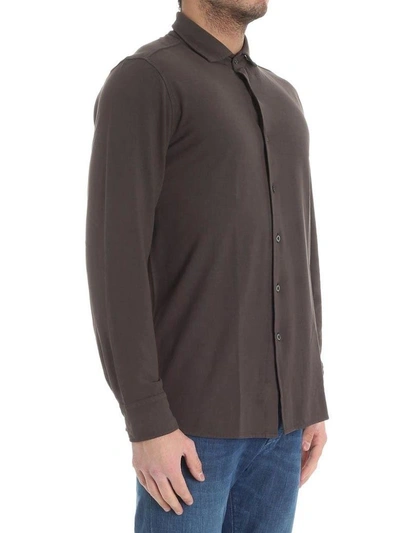 Shop Drumohr Shirt Polo Cotton In Brown