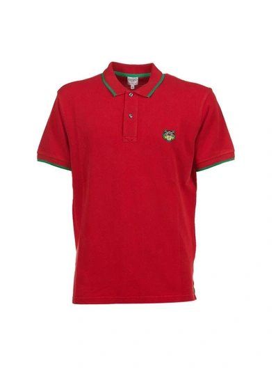 Shop Kenzo Tiger Polo Shirt In Rosso