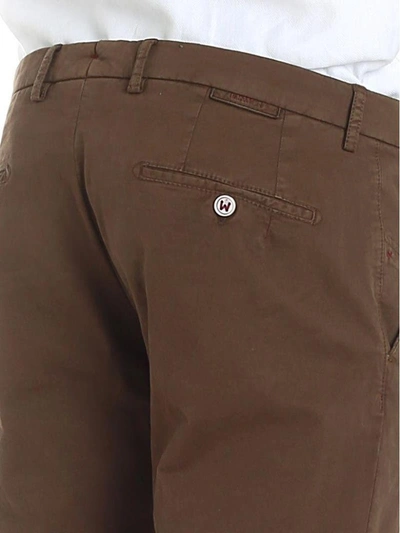 Shop Berwich Trousers Cotton In Brown