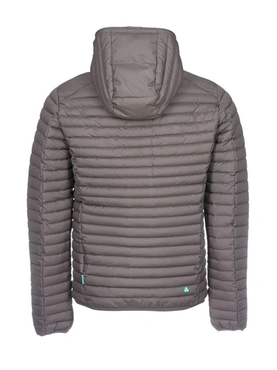 Shop Save The Duck Hooded Down Jacket In Grey