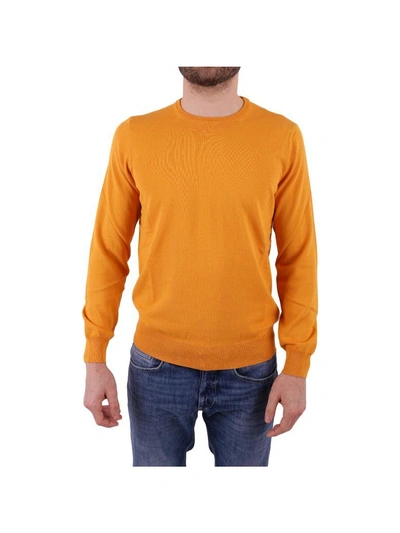 Shop Kangra Cotton Sweater In Yellow