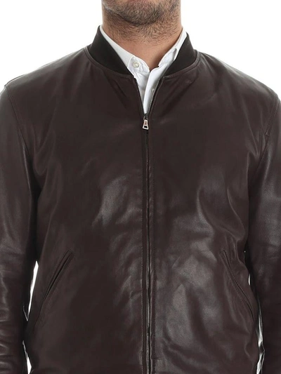 Shop Stewart Leather Jacket In Brown