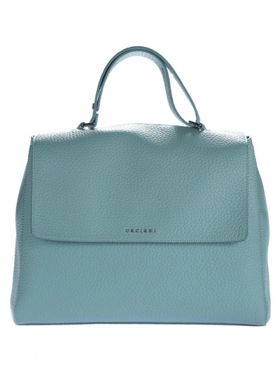 Shop Orciani Soft Anice Tote In Light Blue