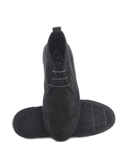 Shop Tod's Chukka Boots In Black