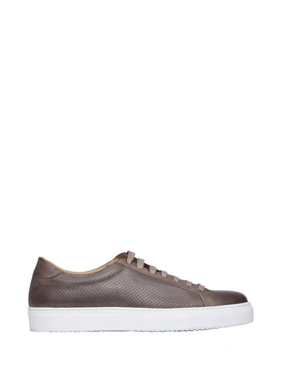 Shop J. Wilton Brown Sneakers In Fango