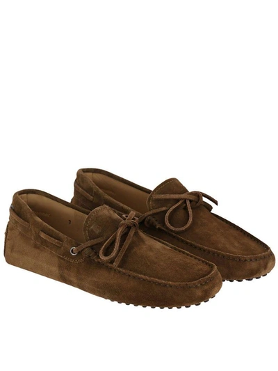 Shop Tod's Loafers Shoes Men  In Tobacco