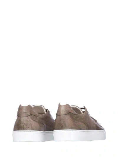 Shop Corvari Brown Sneakers In Fango