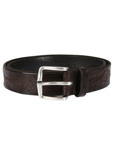 Shop Orciani Floral Perforated Belt In Ebano