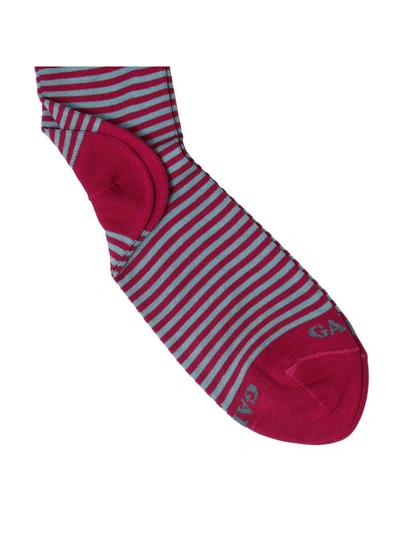 Shop Gallo Socks Socks Women  In Fuchsia