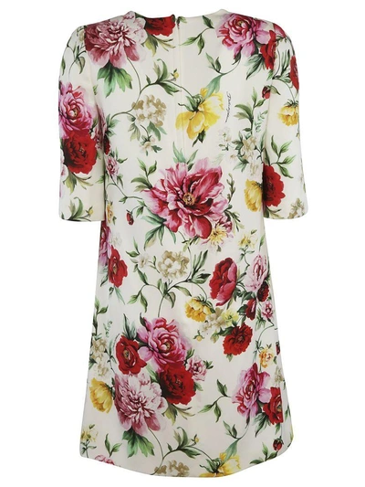 Shop Dolce & Gabbana Printed Floral Dress