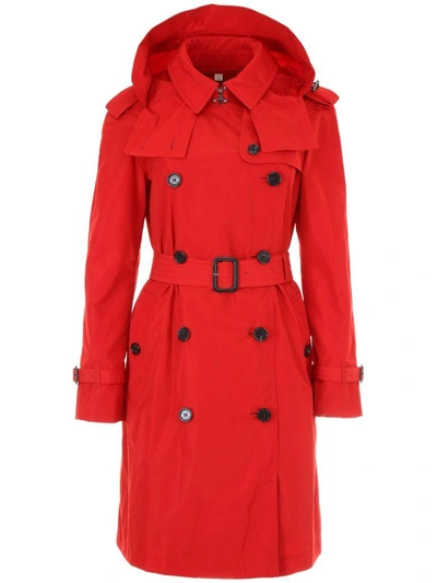 Shop Burberry Amberford Trench Coat In Military Redrosso