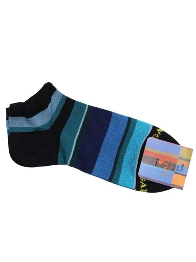 Shop Gallo Socks Socks Women  In Blue