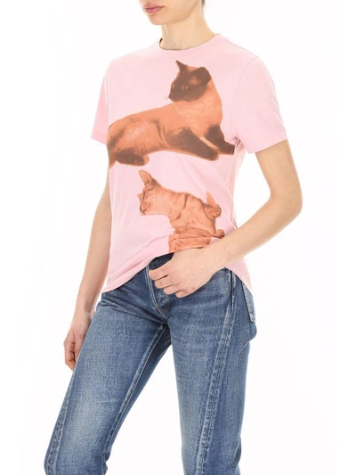 Shop Loewe Cat Print T-shirt In Pink|rosa