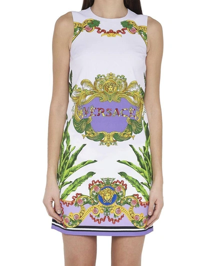 Shop Versace Dress In Multicolor