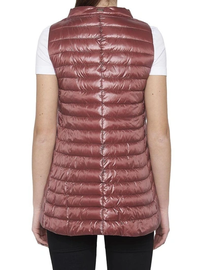 Shop Herno Vest In Burgundy