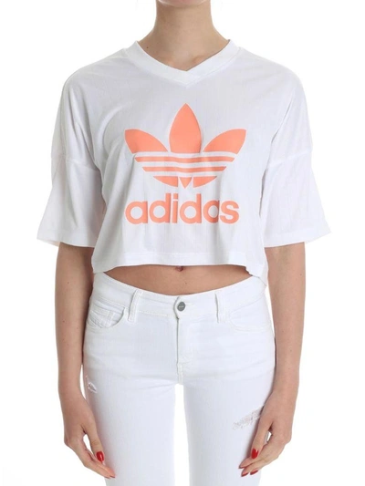 Shop Adidas Originals Cropped T-shirt In White